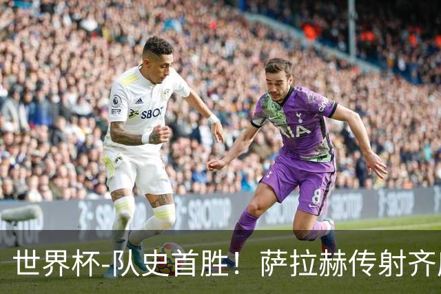 世界杯-队史首胜！萨拉赫传射齐库建功 埃及3-1新西兰升至榜首